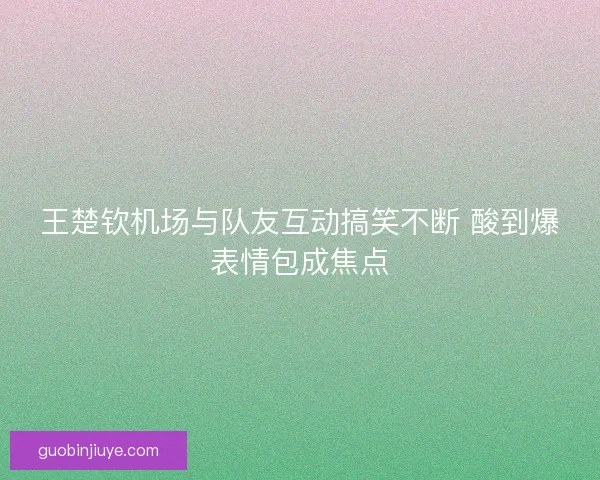 王楚钦机场与队友互动搞笑不断 酸到爆表情包成焦点