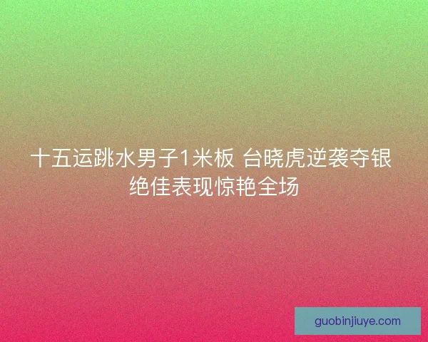 十五运跳水男子1米板 台晓虎逆袭夺银 绝佳表现惊艳全场